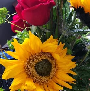 Meet your Posher, Joann